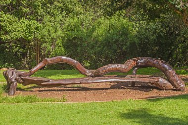 Walter Sisulu Botanik Bahçeleri, Johannesburg Güney Afrika 'daki ağaç gövdelerinden yapılmış bir köy bankı.
