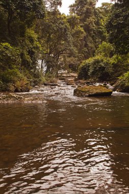 Magoebaskloof 'un Debengeni Şelalesi bölgesinde yer alan Politzi Nehri, Güney Afrika Büyük Letaba Nehri' ne katkıda bulunur.