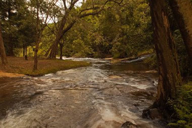 Magoebaskloof 'un Debengeni Şelalesi bölgesinde yer alan Politzi Nehri, Güney Afrika Büyük Letaba Nehri' ne katkıda bulunur.