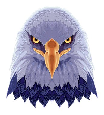 Kartal ön görünümü, vektör izole edilmiş hayvan