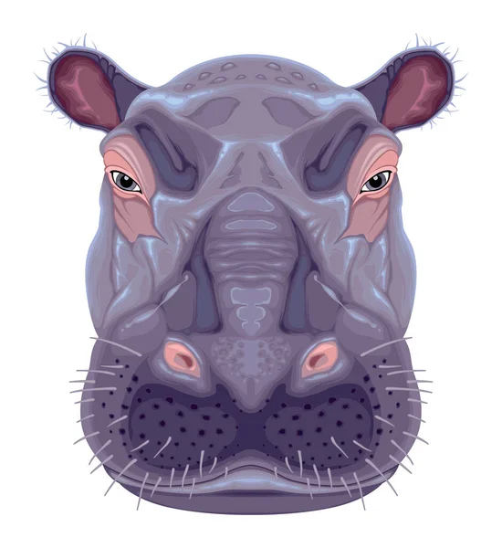 Hippopotamus Hoofd Vector Geïsoleerd Dier — Stockvector