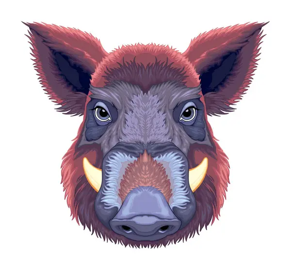 Boar Frontal View Vector Isolated Animal Vector Graphics