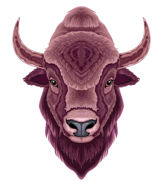 Bison Head Vector Isolated Animal Royalty Free Stock Illustrations