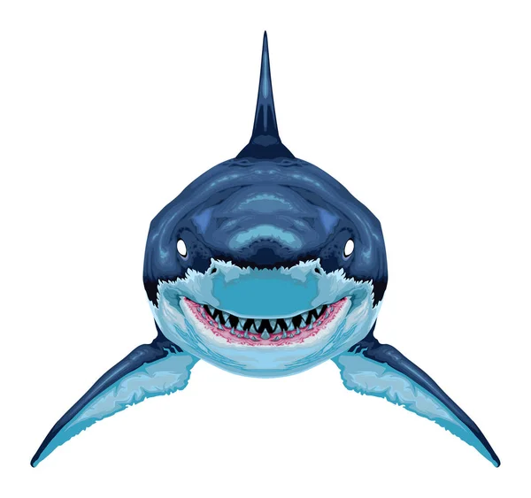 Žralok Vektorově Izolované Zvíře Vektorová Grafika