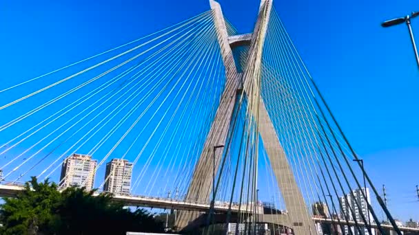 Schorsbrug Kabelbrug Wereld São Paulo Een Gemeente Braziliaanse Deelstaat São — Stockvideo