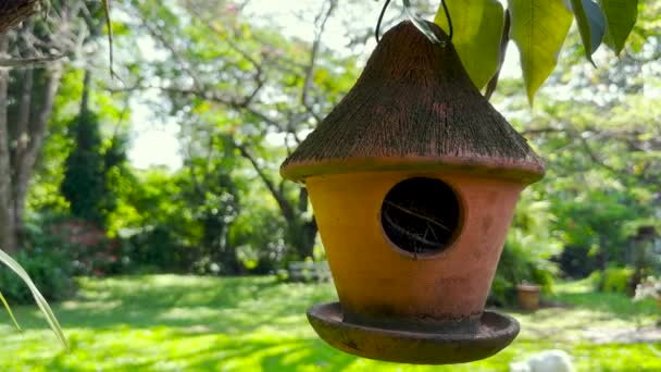 Ağaçta Asılı Kil Kuş Evi Arka Planda Öten Kuşlar — Stok video