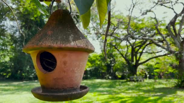 Ağaçta Asılı Kil Kuş Evi Arka Planda Öten Kuşlar — Stok video
