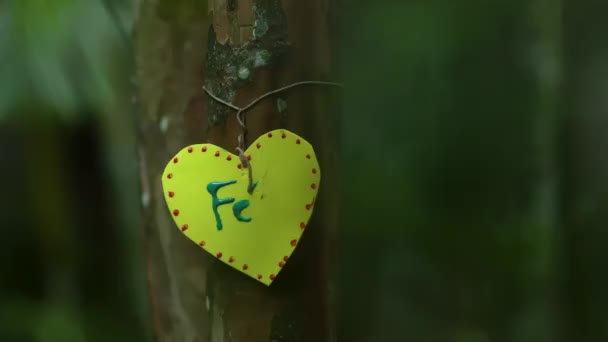纸心在树上有书面信息的心 — 图库视频影像