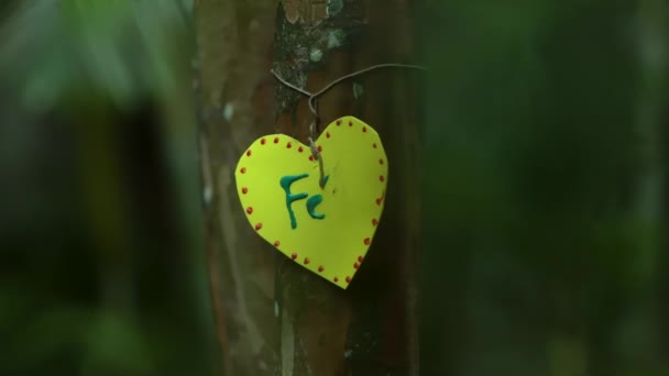Ağacın Üzerinde Kağıt Kalp Yazılı Bir Mesajı Olan Kalp — Stok video