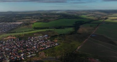 Şeker kamışı tarlasının havadan görünüşü. Botucatu City, Sao Paulo, Brezilya. 07-18-2024