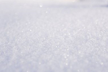 Yumuşak gün ışığı altında ışıldayan beyaz kar kristallerinin makrosu, minimalist doğal bir çerçevede taze kış karının barışçıl ve saf dokusunu yakalıyor..