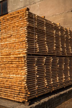 Beton duvarın yanına yığılmış büyük kuru tahta yığını. İnşaat ve marangozluğa hazır endüstriyel keresteler sıcak, altından bir öğleden sonra ışığı altında yıkanır..