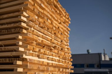 Kurutma işlemi sırasında hava dolaşımına izin vermek için aralıklarla istiflenmiş çiğ kereste tahtaları, açılı bir bakış açısından sıcak doğal ışık altında fotoğraflanmıştır..