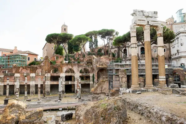 Αρχιτεκτονικοί Χώροι Του Ρωμαϊκού Φόρουμ Foro Romano Στη Ρώμη Επαρχία Royalty Free Φωτογραφίες Αρχείου