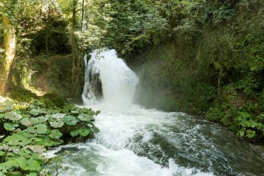 Wonderful Natural Sceneries of The Marmore Falls (Cascata delle Marmore) in Umbria, Terni Province, Italy (Part III). clipart