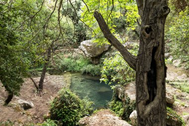 Antik Noto, Sicilya, İtalya 'daki Cava Carosello Doğa Koruma Alanı' nın güzel manzaraları. Bölüm I).