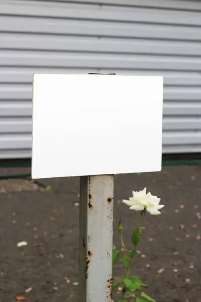 Blank parking sign mockup in urban environment, empty space to display parking sign mock up template.