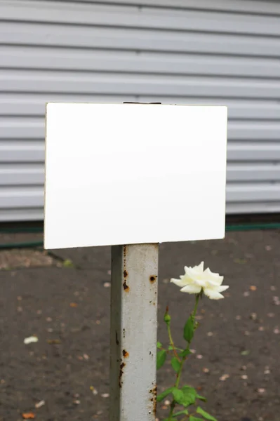 都市環境の空き駐車標識モックアップ 駐車標識を表示する空きスペーステンプレート ロイヤリティフリーのストック写真