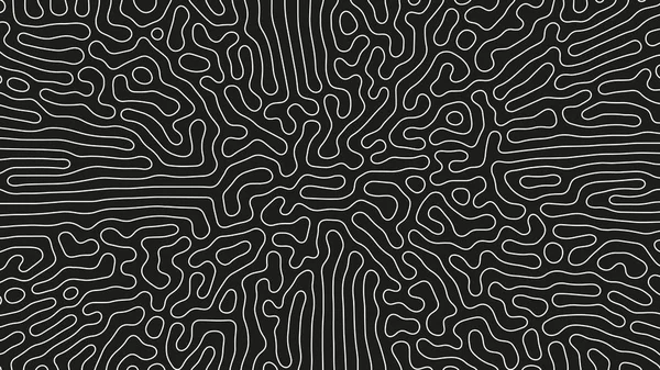 複雑な細い線のパターンベクトルサイケデリッククレイジーアートアブストラクト背景 複雑なリップル構造パノラマブラックホワイトの壁紙 催眠抽象化 ライン アート グラフィック モダンイラスト — ストックベクタ