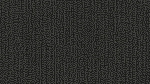 反応拡散テクスチャチューリングパターンベクトルブラックグレーアブストラクト背景 サイケデリックグラフィック複雑なライン構造モノクロームダークカラーパレットワイド壁紙 クレイジー抽象 — ストックベクタ