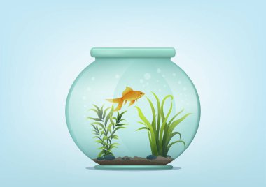 Balık kavanozunda su bitkisi olan güzel bir balık. Vektör illüstrasyonu