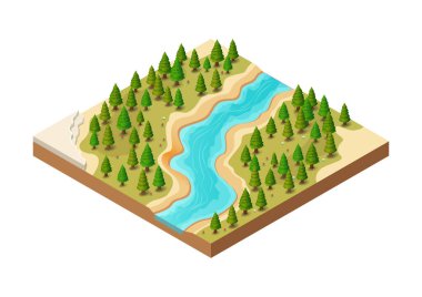 Çam ormanının içinden geçen güzel izometrik doğal nehir