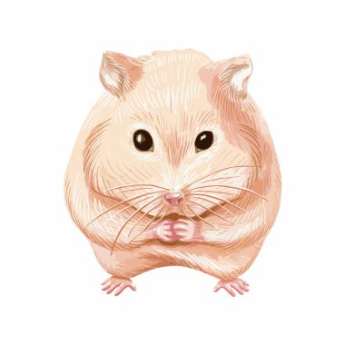 Şirin Yer Sincabı Pastel Kalem Çizim Çizimi Çizimi. Yer sincabı pastel kalem karikatür şeklinde çizilmiş, küçük bir fındık tutuyor. Kreş temaları ve eğitici illüstrasyonlar için ideal,