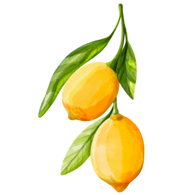   Suluboya Limon Sınırı ve Siyah Çelenk. El boyası suluboya limon çelengi ve çiçekli siyah arka planda yapraklar ve çiçekler. Düğün dekorasyonu, davetiyeler, etiketler, ambalaj ve markalaşma için mükemmel..