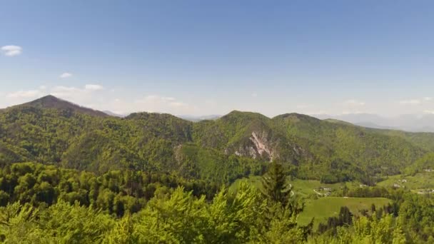 Dron Odhaluje Záběry Lesy Pokryté Kopce Odhalené Korunami Stromů Popředí — Stock video