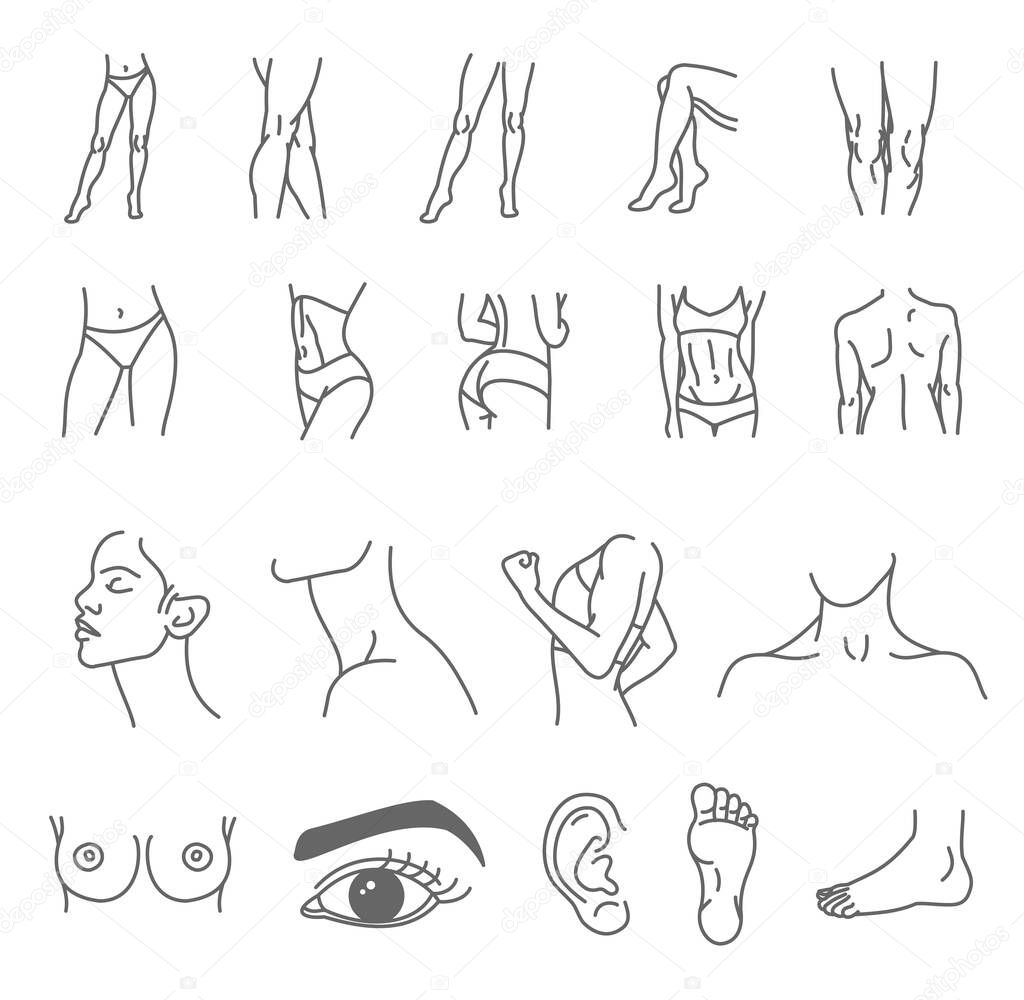 Female body icon set - thin line style, vector collection