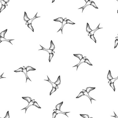 Güzel, kusursuz el çizimi, yutma vektör deseni