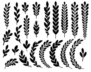  Güzel bir vektör dekoratif dal ve şöhret koleksiyonu