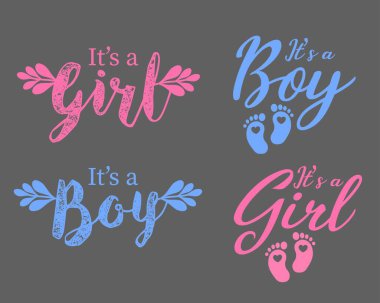 Bu bir erkek, bu bir Girll vektör. Bir bebek cinsiyeti duyurusu seti için şirin bir illüstrasyon. 