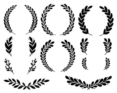 Güzel bir vektör dekoratif dal ve şöhret koleksiyonu