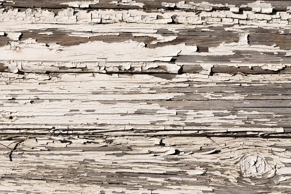 Ξύλινος Τοίχος Παλιό Λευκό Χρώμα Είναι Σοβαρά Ξεπερασμένο Και Ξεφλούδισμα — Φωτογραφία Αρχείου