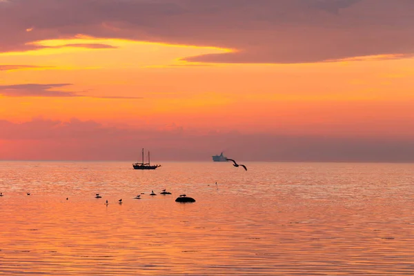 Navio Alto Navegando Longo Horizonte Durante Pôr Sol — Fotografia de Stock