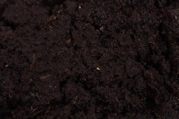 肥沃な土壌のクローズ アップのテクスチャの庭のベッド — ストック写真