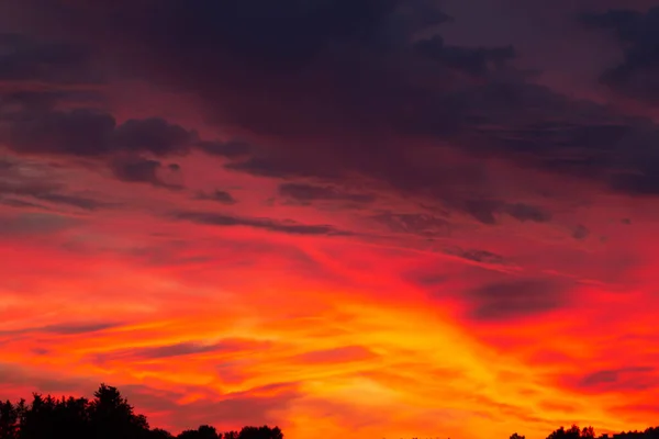 Céu Pôr Sol Vermelho Muito Dramático Norte Noite Sobre Floresta — Fotografia de Stock