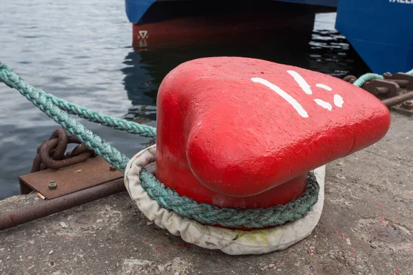 Rögzítőkötél Közelsége Csomózott Véggel Egy Fatörzsön Hajózási Kikötőkötélen Kötött Stopli — Stock Fotó