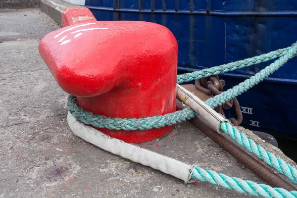 Rögzítőkötél Közelsége Csomózott Véggel Egy Fatörzsön Hajózási Kikötőkötélen Kötött Stopli — Stock Fotó