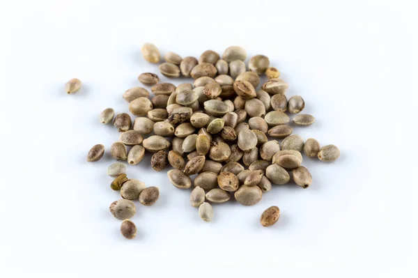 Cannabis hemp seeds pile close up macro shot isolated on white background