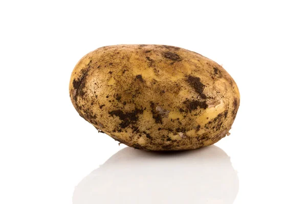 Свіжа Брудна Картопля Ізольована Білому Тлі — стокове фото