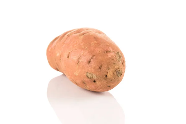 Sweet Potato Batata White Background Isolated — Stock Photo, Image