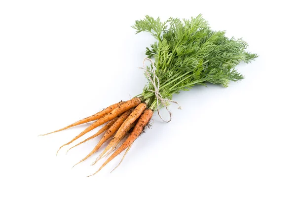 Heap Freshly Picked Carrots Isolated White — Stock Photo, Image