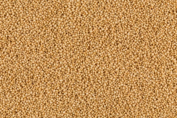Popped Amaranth Grain Closeup Food Background Texture — Fotografia de Stock