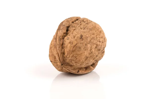 Walnut Nut Closeup Isolated White Background — Stock Photo, Image