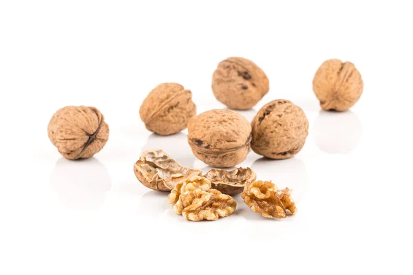Walnut Nut Closeup Isolated White Background — Stock Photo, Image