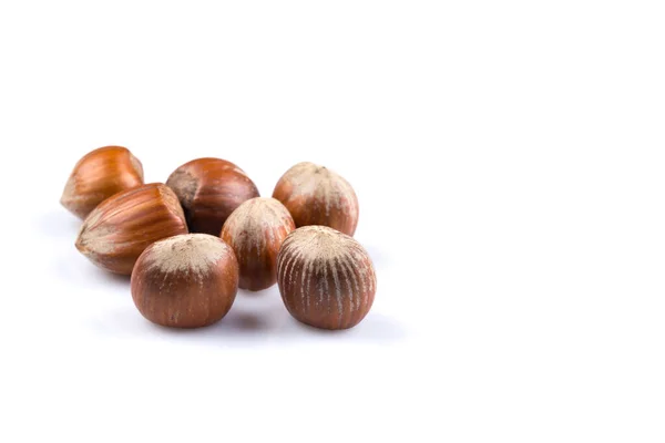 Hazelnuts Filberts Isolated White Background — стоковое фото