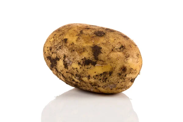 Verse Vuile Aardappel Geïsoleerd Een Witte Achtergrond — Stockfoto