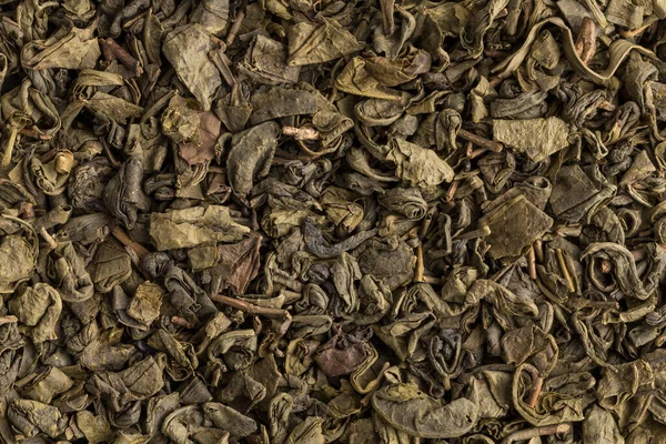 Schwarzpulver Grüner Tee Nahaufnahme Foto Für Hintergrund — Stockfoto